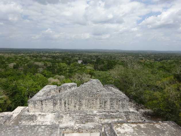 Calakmul Top