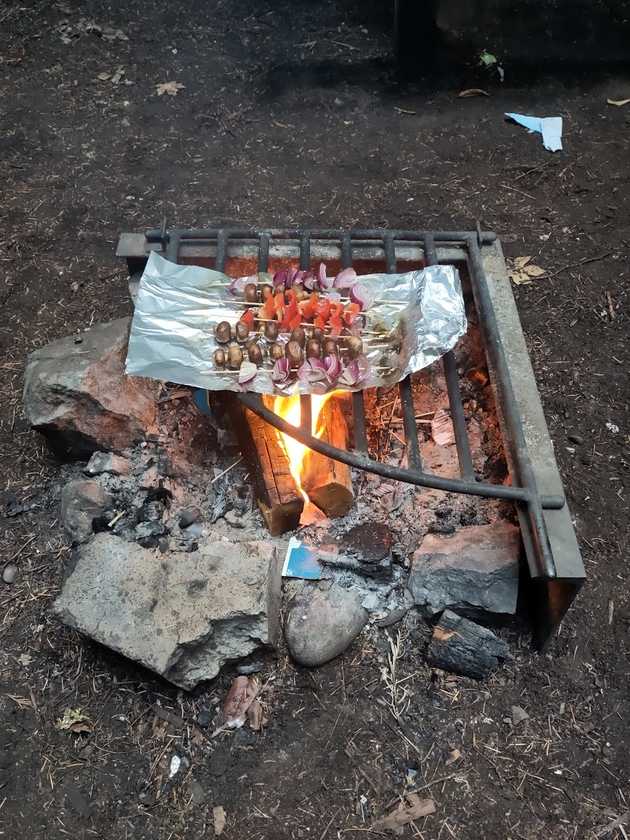 Fire Cooking