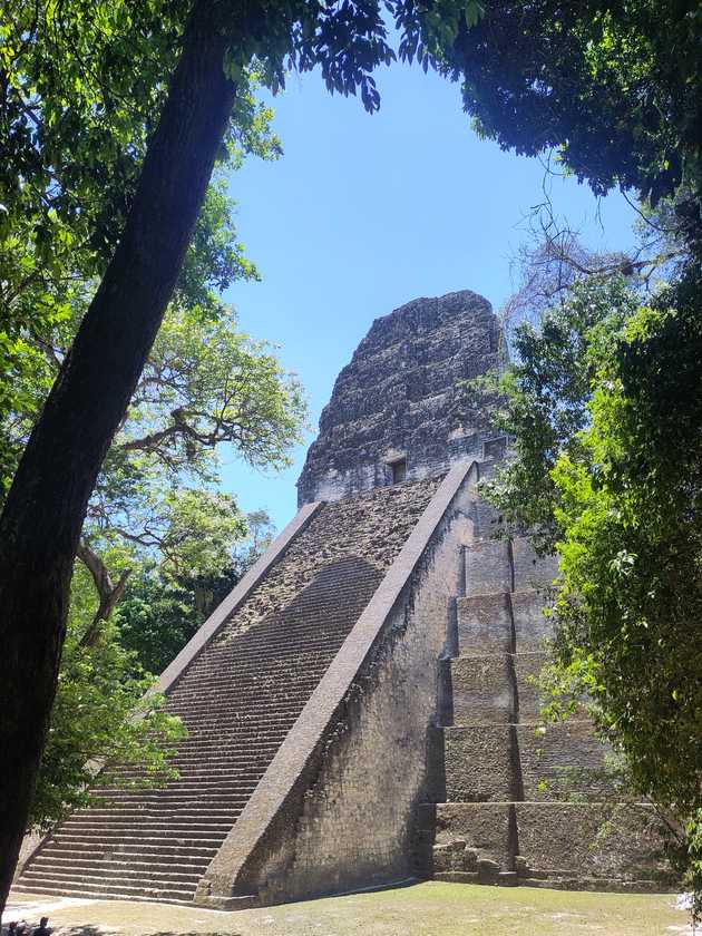 tikal