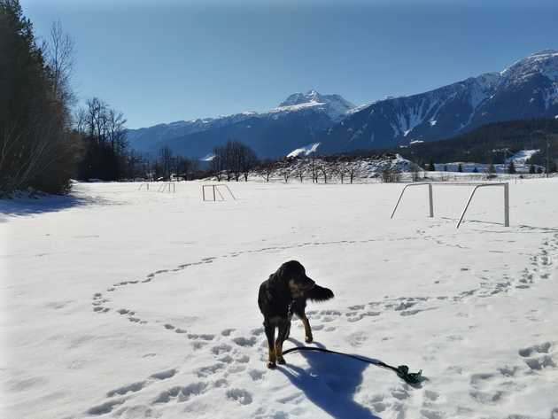 Wendel by the River