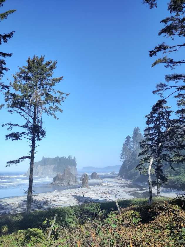 olympic coast